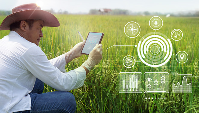 Man kneeling in outdoor field while using a mobile device to monitor agriculture smart technology.